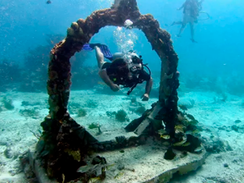 Tours and tourist experiences